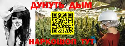 индика Ачхой-Мартан